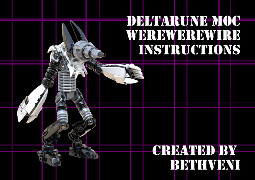 Custom Instructions Cover